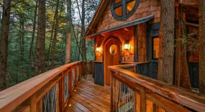 Enchanted Evergreen - Image 2
