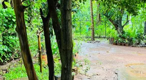 Kataragama Homestay - Image 5