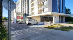 Departamento en Valdivia. - Image 3
