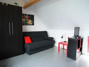 Holiday Home in Langweer with Infrared Sauna - Image 4