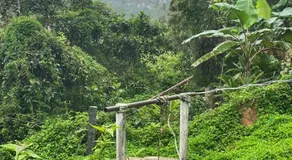 BlueMoon Homestay - Near to Falls and View Points, Home Food & Estate - Image 5