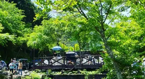 山水徳間の里 - Image 5