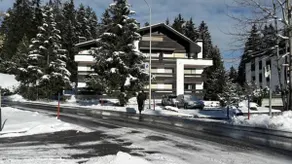 Apartment in Lenzerheide - Image 3