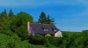 Haus am Trielberg - Image 5