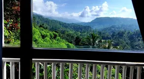 Rainforest Nature House - Image 3