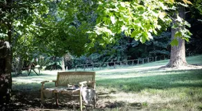 Dingleigh of Sassafras - Image 5