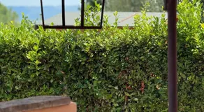 Villa Anna - Image 4