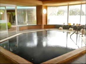 Yugawara Onsen Hotel Akane - Image 4