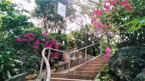 La Sirenita - Image 5