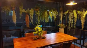 Tree​ for​ rest​ poshtel - Image 4