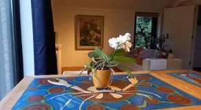 Ruim vakantie huis Marke Lemselo in de rust en natuur - Image 2