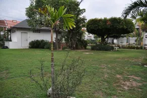 New Kingston Guest Apartment VII - Image 5