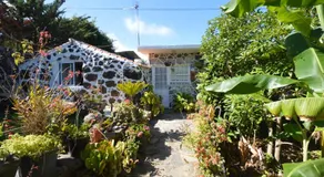 Inés - Image 1