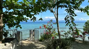 Nature Seaview - Image 4
