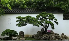 Qingjiang Shangyuan Hotel - Image 2