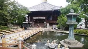 Guest House Marin - Image 4