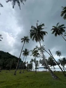 Kohchang Honeymoon Beach Resort - Image 5