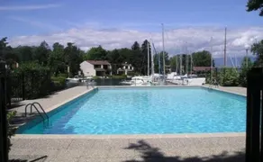 Port Ripaille, les grèbes - Image 3