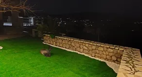Φεγγαρόπετρα -ΠΑΝΣΕΛΗΝΟΣ - Image 3