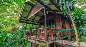Khao Sok Riverside Cottages - Image 4