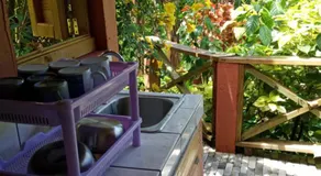 Berkey's Jungle Paradise - Image 4