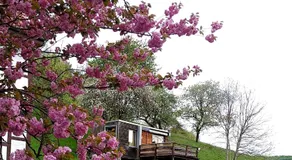 Tiny House mit Klima und Heizung, in idyllischer Ortsrandlage - Image 5