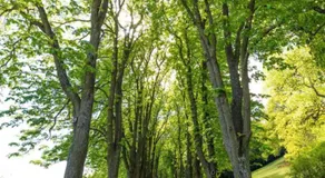 Urlaub in Schlossnähe - Image 5
