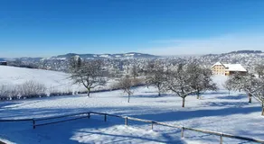 Stilvolle Apartments im Gertrud Schlössli - zentral ruhig - Image 5