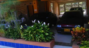 Hotel Tropico Real Mesitas - Image 4