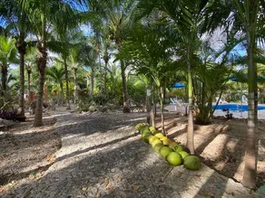 Villa Tortugas - Image 4