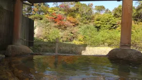 Fujisan Ryokan - Image 4