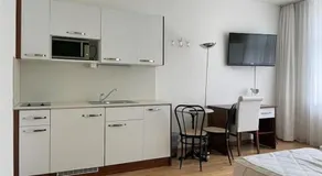 Renovated Apartment Near Zurich Lake Sees - Self Checkin - Image 3
