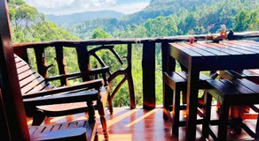 Chill Wood Resort - Image 5