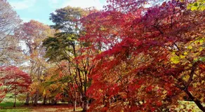 Bod Gwynedd Bed and Breakfast - Image 5