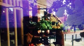 Bournville House & Cafe - Image 5