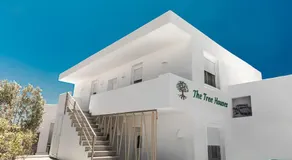 The Tree Houses Santorini - Image 4