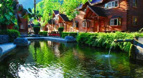 Master Bear Resort - Image 2