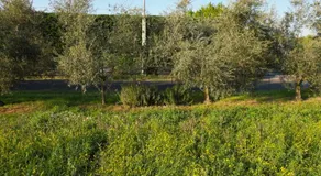 B&B Zvana's - Da Giovanna - Image 5