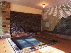Shitajima Onsen Senyukan - Image 2