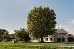Luxury Provençal house – Pool, nature & spa - Image 4
