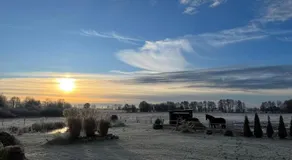 Stajnia Orłowscy - Image 5