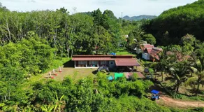 Mukda - Image 5