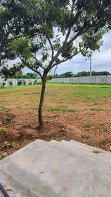 Takshva Farms - Farmstay Villa Near Bangalore - Image 5