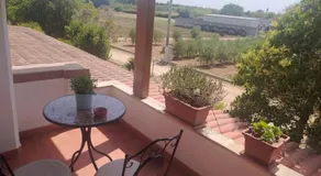 La Padula - Salento - Image 5