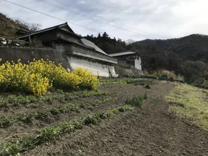 Sacred Mount Tsurugi Mountain View Hiking in the c - Image 5