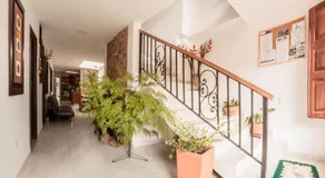 Vivienda turística mi sueño Jardín - Image 4