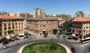 Bellini - Image 4