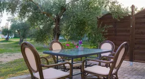 Olive Τrees Garden - Image 4