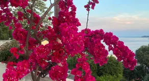 Apartments Herceg Novi - Image 2