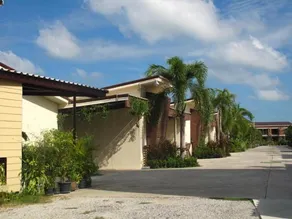Sabai Sabai - Image 3